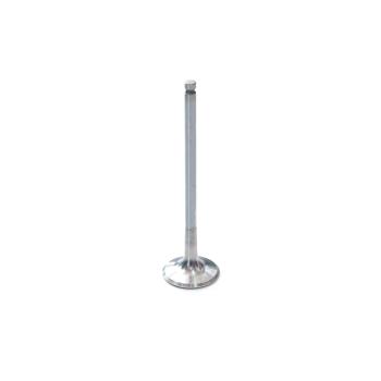 GM 250 exhaust valve